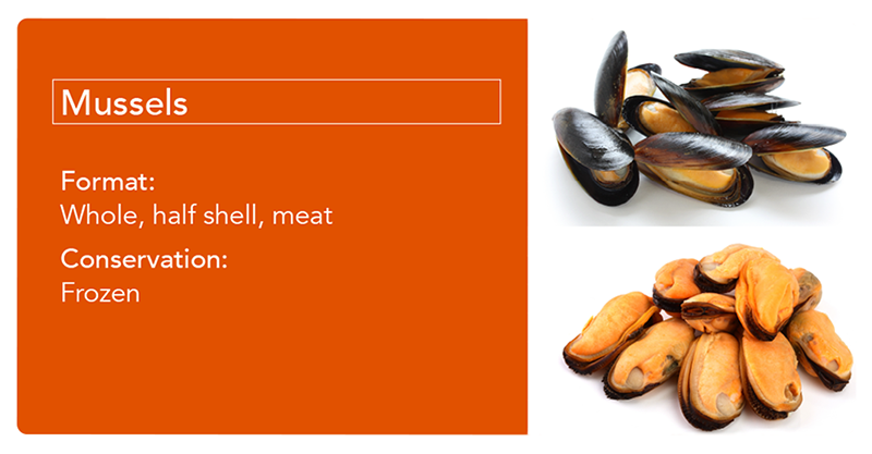 mussels