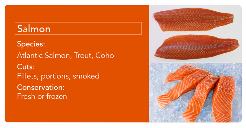 Salmon_ingles_ok